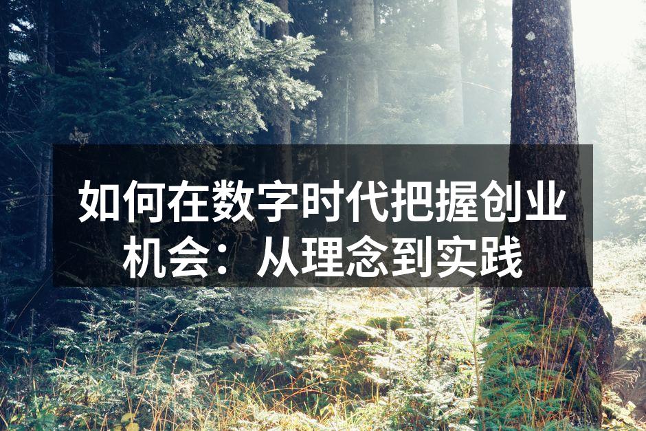 如何在数字时代把握创业机会：从理念到实践