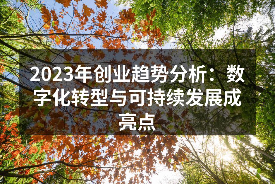 2023年创业趋势分析：数字化转型与可持续发展成亮点