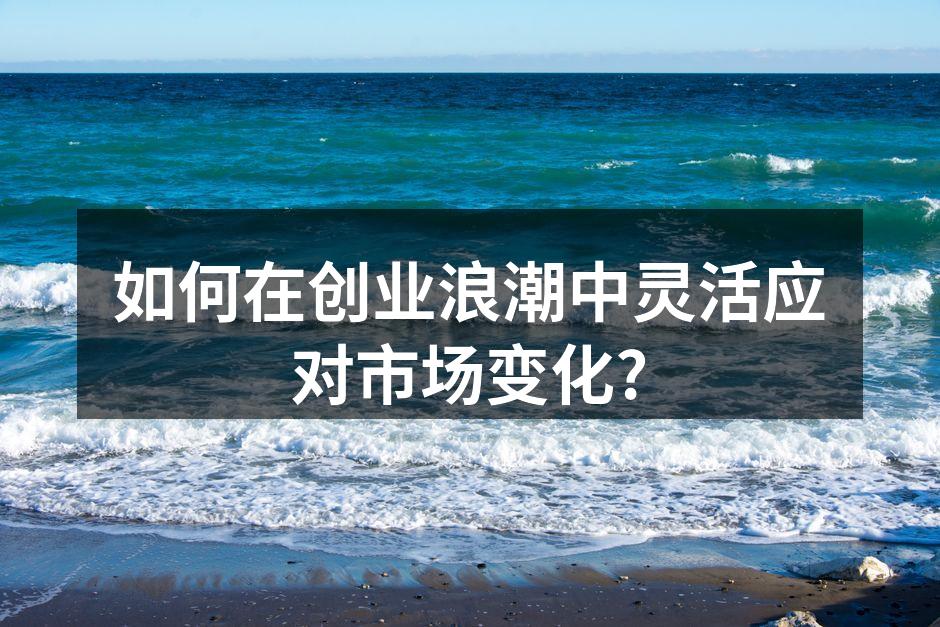 如何在创业浪潮中灵活应对市场变化?